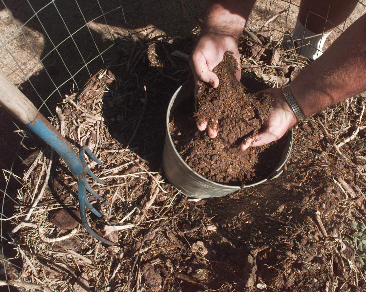 Composting: Choose the type of bin